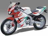 2005 Rieju RS1 Castrol photo